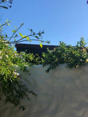Villa Alda