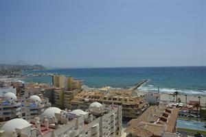 Hotel La Familia Gallo Rojo