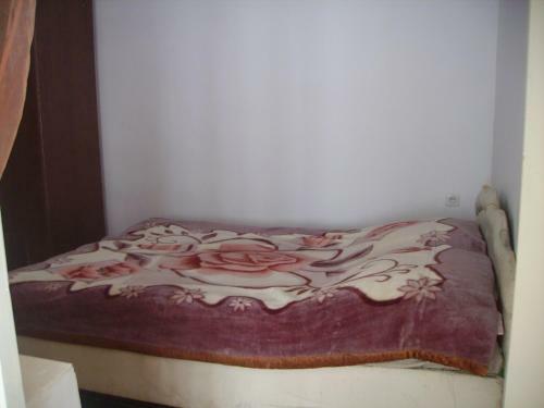 Hostal Sayfi Gueshouse