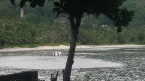 Pebbles Cove