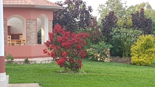 Hotel H�tel Maisons-sifa