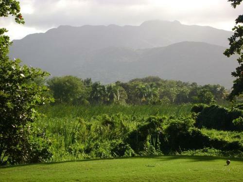 Rio Mar Village - Golf Course View