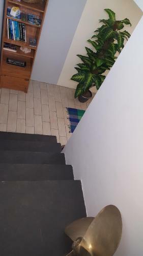 Apartamento Fare Feti'a