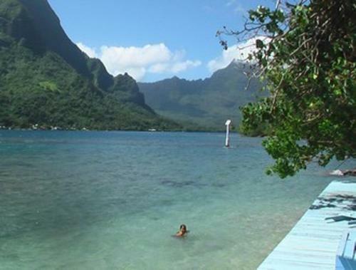 Hotel Bungalows Tipaniers Iti
