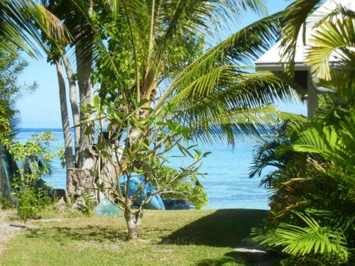 Paradise Island Moorea