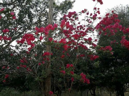 Lodge Posada Mar�a Vicenta Aguayo