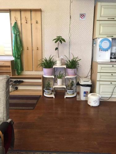 Hostal Happy Downtown Guesthouse & Tours