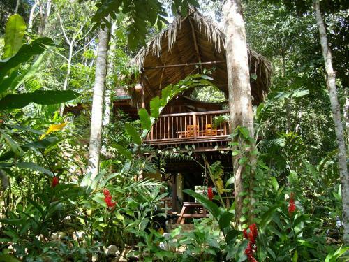 Bed & Breakfast Better In Belize Eco Lodge
