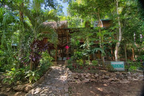Bed & Breakfast Better In Belize Eco Lodge