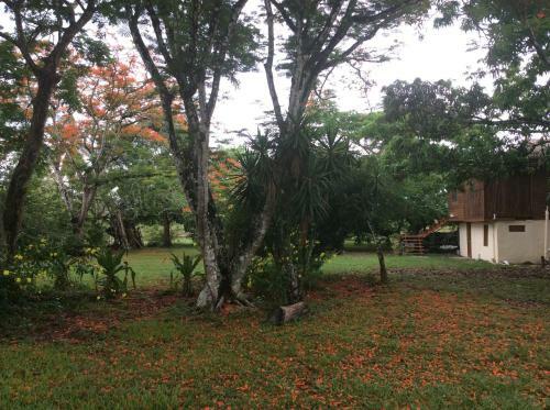 Agroturismo Mango Grove