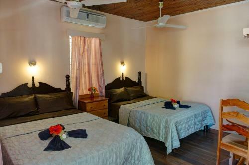 Hotel Tropical Paradise