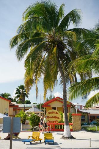 Hotel Tropical Paradise