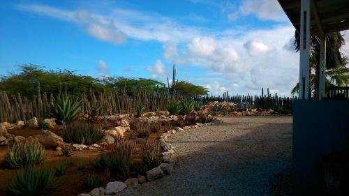 Apartamento Bonaire16