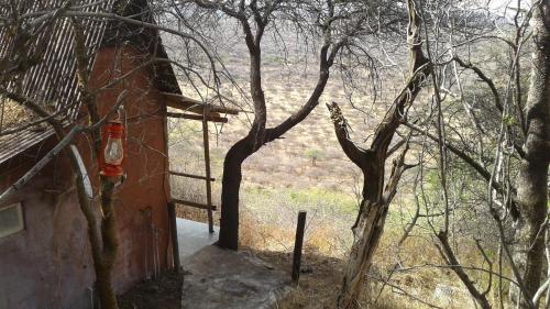 Lentswe Lodge