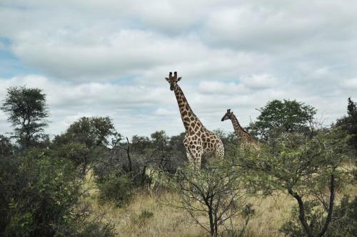 Agroturismo Stevensford Game Reserve