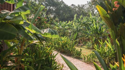 Hotel Rajabori Villas Resort