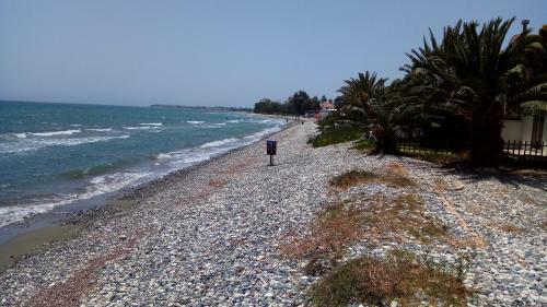Ekaterina Beach House