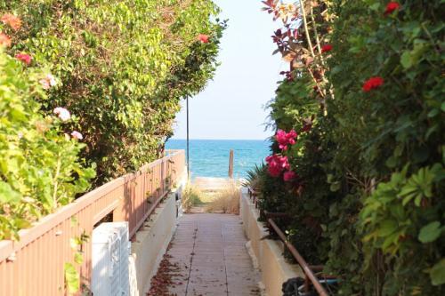 Spiros Seaside Villa No. 11