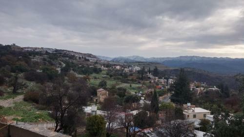 Artemis Village House