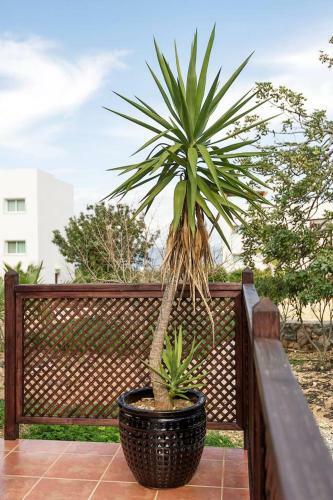 Joya Cyprus Seashore Garden Apartment