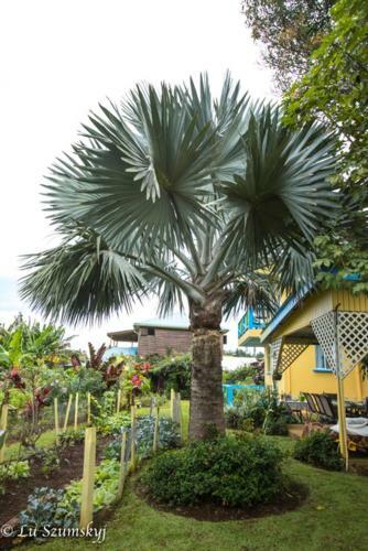 Apartamento Jacoway Inn