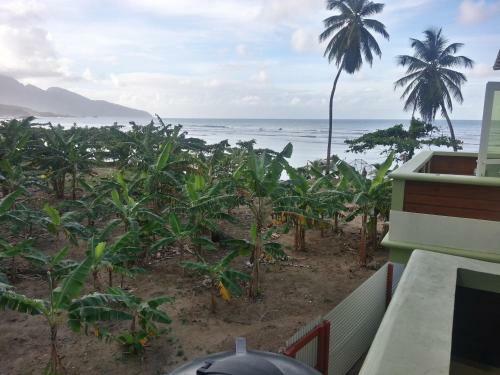 Nixon's Bayside Mangrove Inn/villa