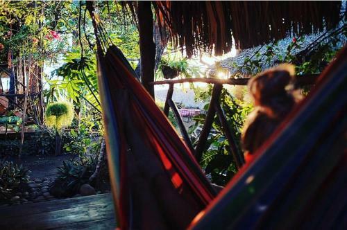Hotel Palapa Cabins