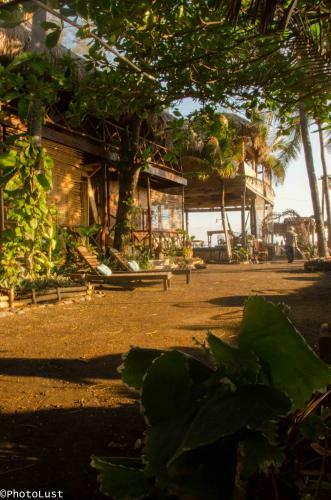 Hotel Palapa Cabins