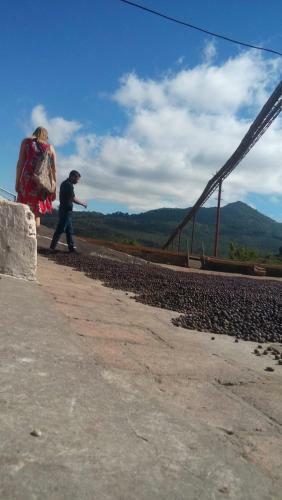Hostal Do�a Mercedes
