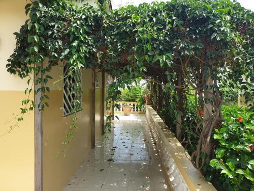 Hotel Kunta Kinteh Beach Complex