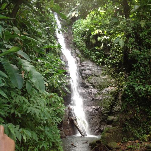 Apartamento Rustic Charm Near Concord Waterfalls
