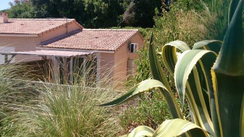 Apartamento G�te Les Hauts De Benista