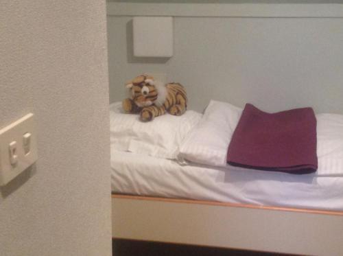 Hotel Melrose 'puur Logies'