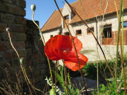 Holiday Home 't Hof Der Witte Damen