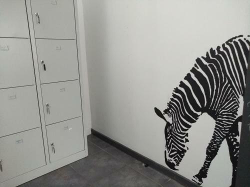 Antwerp Backpackers Hostel