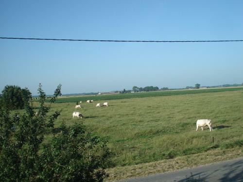 B&B Hoeve 't Geleed
