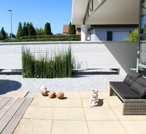 Bed & Breakfast Studio Cathilleweg