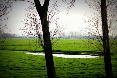 Cambiare Hoeve