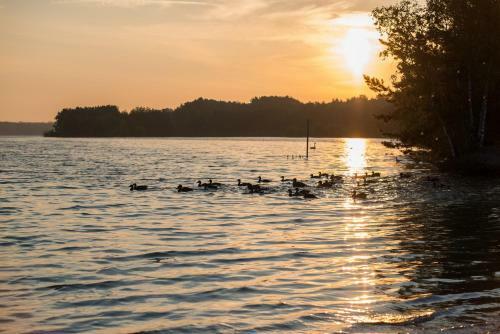 Hotel Kempense Meren By Sunparks