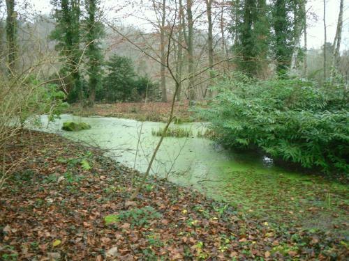 Bed & Breakfast La Monardi�re