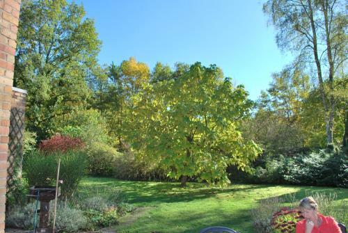 Bed & Breakfast La Monardi�re