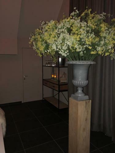 Bed & Breakfast Biga Hoeve