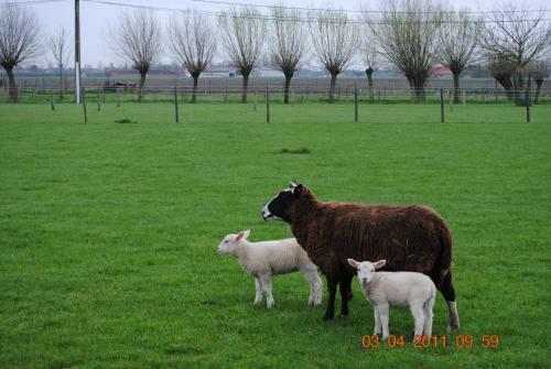 Agroturismo Vakantiehoeve De Torreele