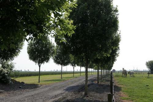 Agroturismo Vakantiehoeve De Torreele