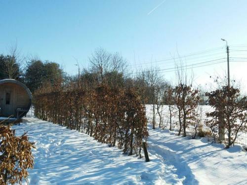Quaint Holiday Home With Sauna In Limbourg