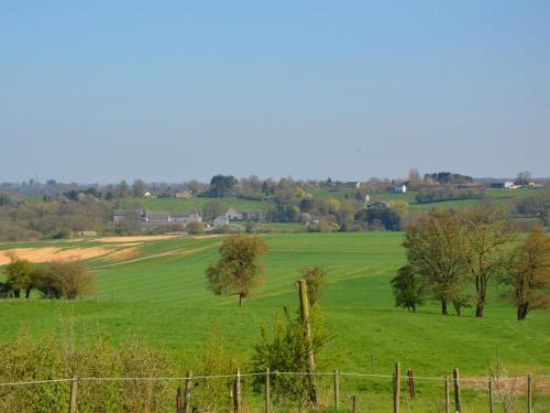 Charming Holiday Home In Ohey Near Forest