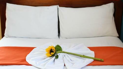 Hotel El Cisne 1