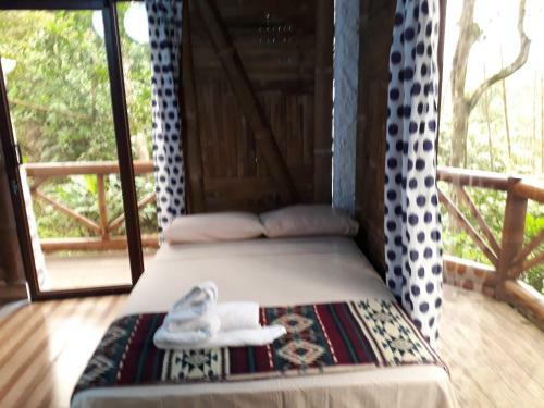 Lodge Hostal Las Heliconias