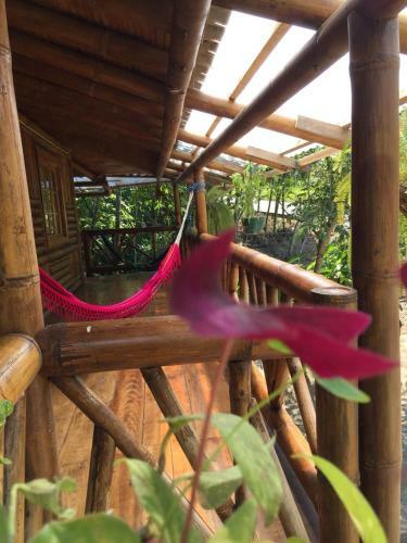 Lodge Hostal Las Heliconias