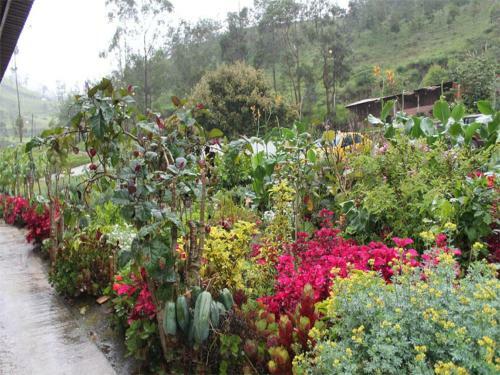 Posada Hosteria Rinc�n De Isabel